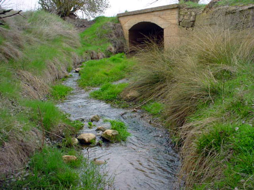 Arroyo de San Juan en el paraje "Los �lamos"