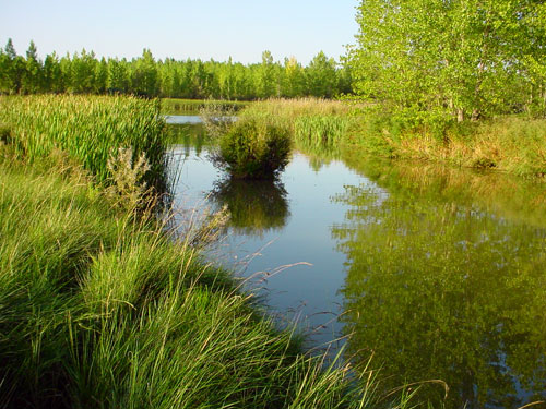 Desembocadura del arroyo San Juan