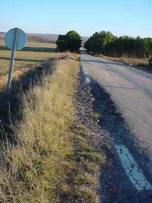 Bache en la SO-P-3001