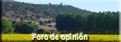 Foro de opini�n