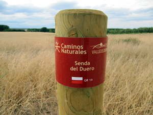 Senda del Duero GR-14 en Almarail