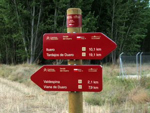 Senda del Duero GR-14 en Almarail