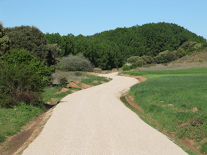 Senda del Duero GR-14 en Almarail