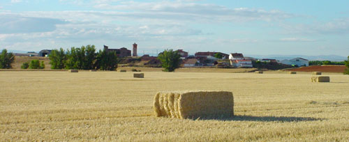Vista de Almarail desde los campos de cereal segados