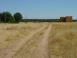 Ca�ada Real Soriana Oriental a su paso por Almarail