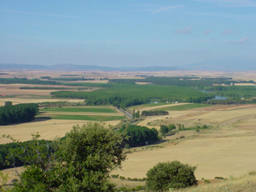 Vista de parte del coto de caza de Almarail