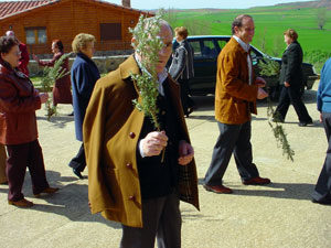 Procesi�n del Domingo de Ramos