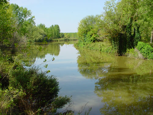 El Duero junto a la desembocadura del Rituerto
