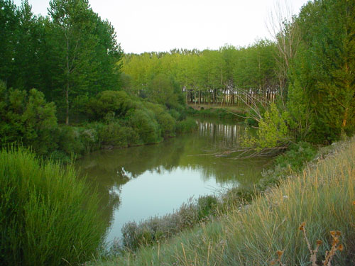 Camino de Valdespina