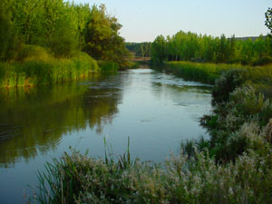 Aguas abajo del puente de Almarail