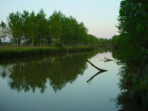Camino de Valdespina