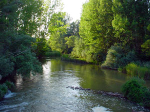 Entre la presa y el puente
