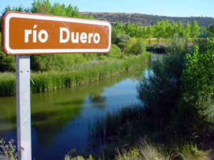 Puente sobre el Duero en Almarail