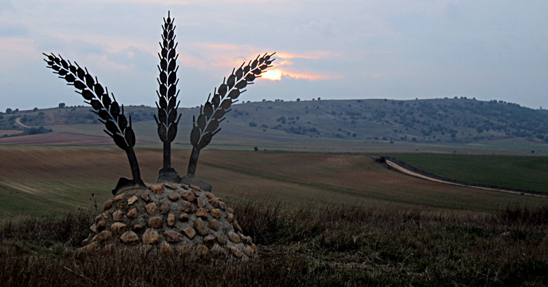 Las espigas de Almarail