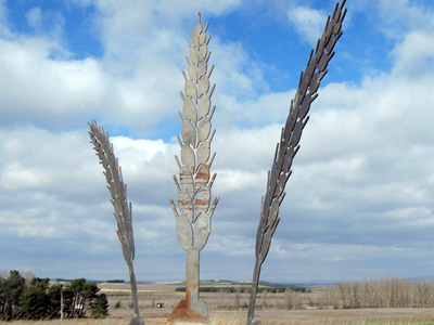 Las espigas de Almarail