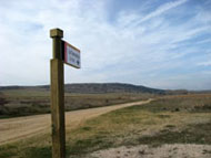 Flecha indicativa - Torrejalba