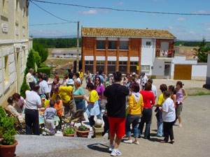 Gallofa 2007