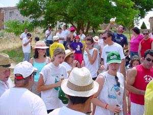 Gallofa 2008