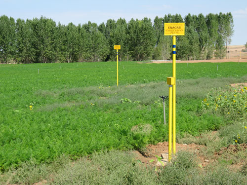 Gasoducto Yela - El Villar de Arnedo en Almarail