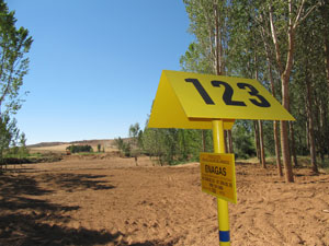 Gasoducto Yela - El Villar de Arnedo en Almarail