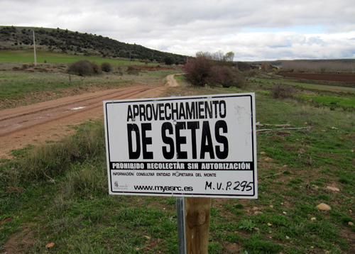 Regulaci�n de recogida de setas del proyecto MYAS RC en Almarail