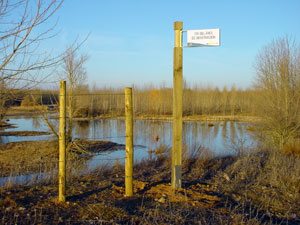 Vallado y se�al de fin de �rea de observaci�n