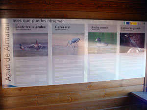 Paneles informativos