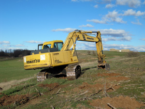 Plantaci�n de �rboles en Almarail