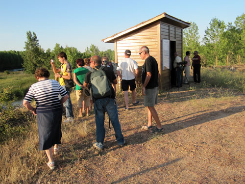 Visita al observatorio de aves