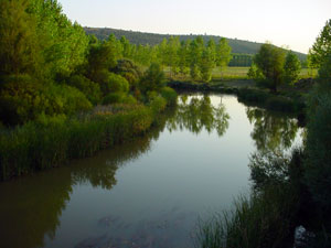 R�o Duero, a su paso por Almarail