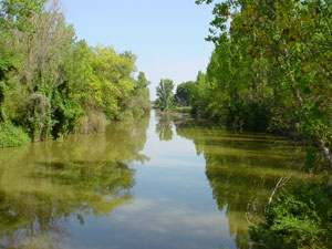 R�o Duero, junto a Almarail