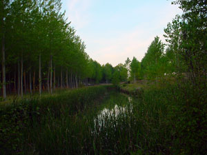 Desembocadura del Rituerto en el Duero