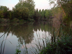 Desembocadura del Rituerto en el Duero