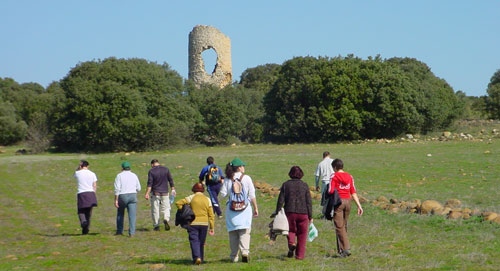 Vista de la Torrejalba