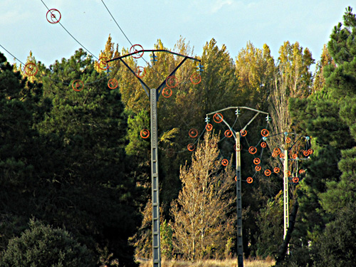 Espirales salvap�jaros de color naranja en Almarail