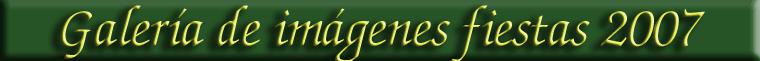 Galer�a de im�genes fiestas 2007