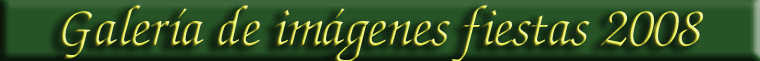 Galer�a de im�genes fiestas 2008