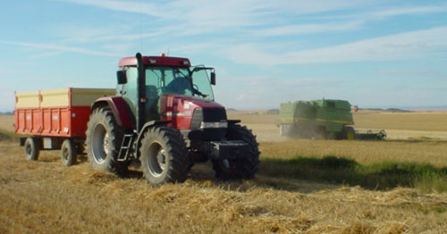 Recolecci�n de cereal en Almarail