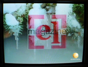 Cabecera del programa