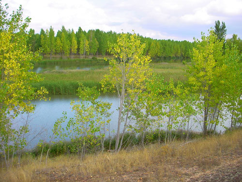 Vista desde la futura ubicaci�n del observatorio de aves de Almarail