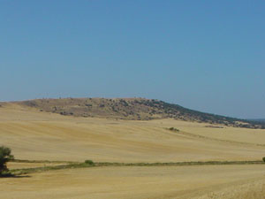 Laderas de la Torrejalba en verano