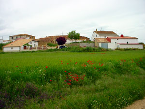 Vista sur del pueblo, desde el Camino de Almaz�n