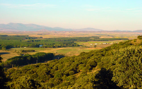 Vista de Almarail, la Sierra del Moncayo y el r�o Duero